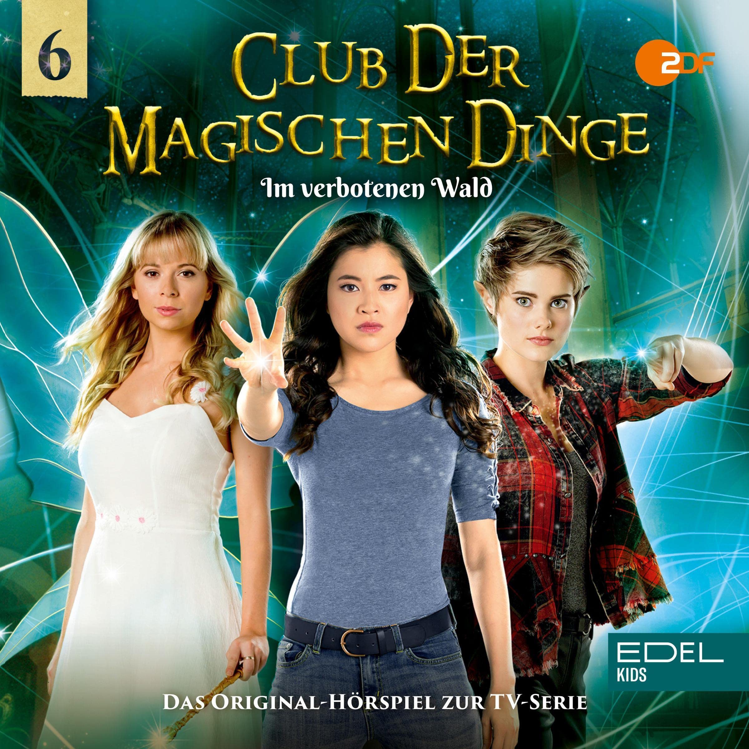 Cover art for Im verbotenen Wald. Das Original-Hörspiel zur TV-Serie