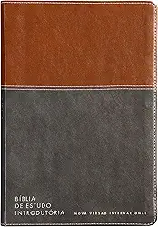 Bíblia de estudo introdutória, NVI, Couro-soft marrom e cinza chumbo, Leitura Perfeita