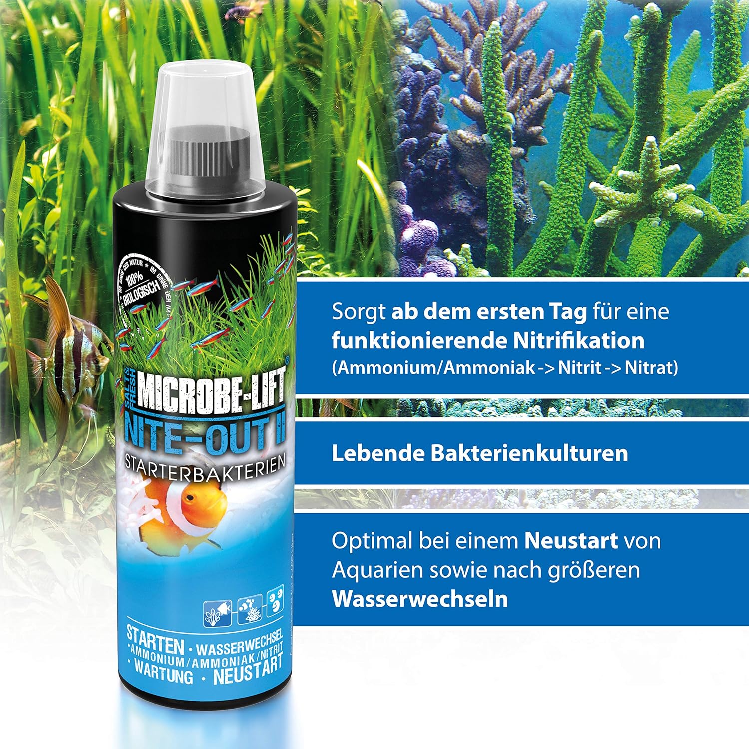 MICROBELIFT NiteOut II Fresh and Saltwater Aquarium Bacteria