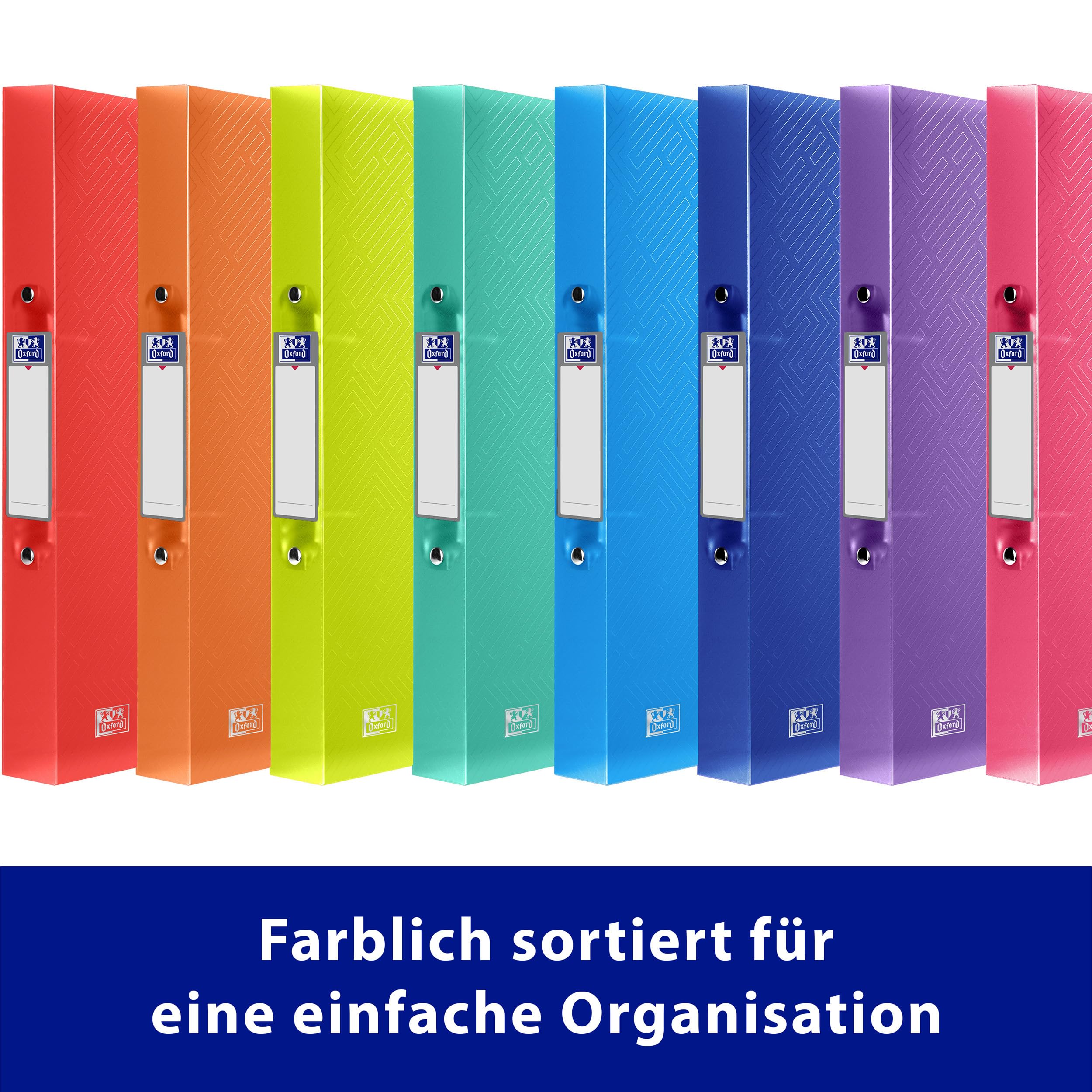 Set di Ricariche A5 per Raccoglitori Ad Anelli - Fogli con 6 Fori, 50 Pagine a Puntini, 6
