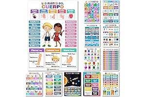 12 Spanish English Bilingual Learning Posters for Toddlers