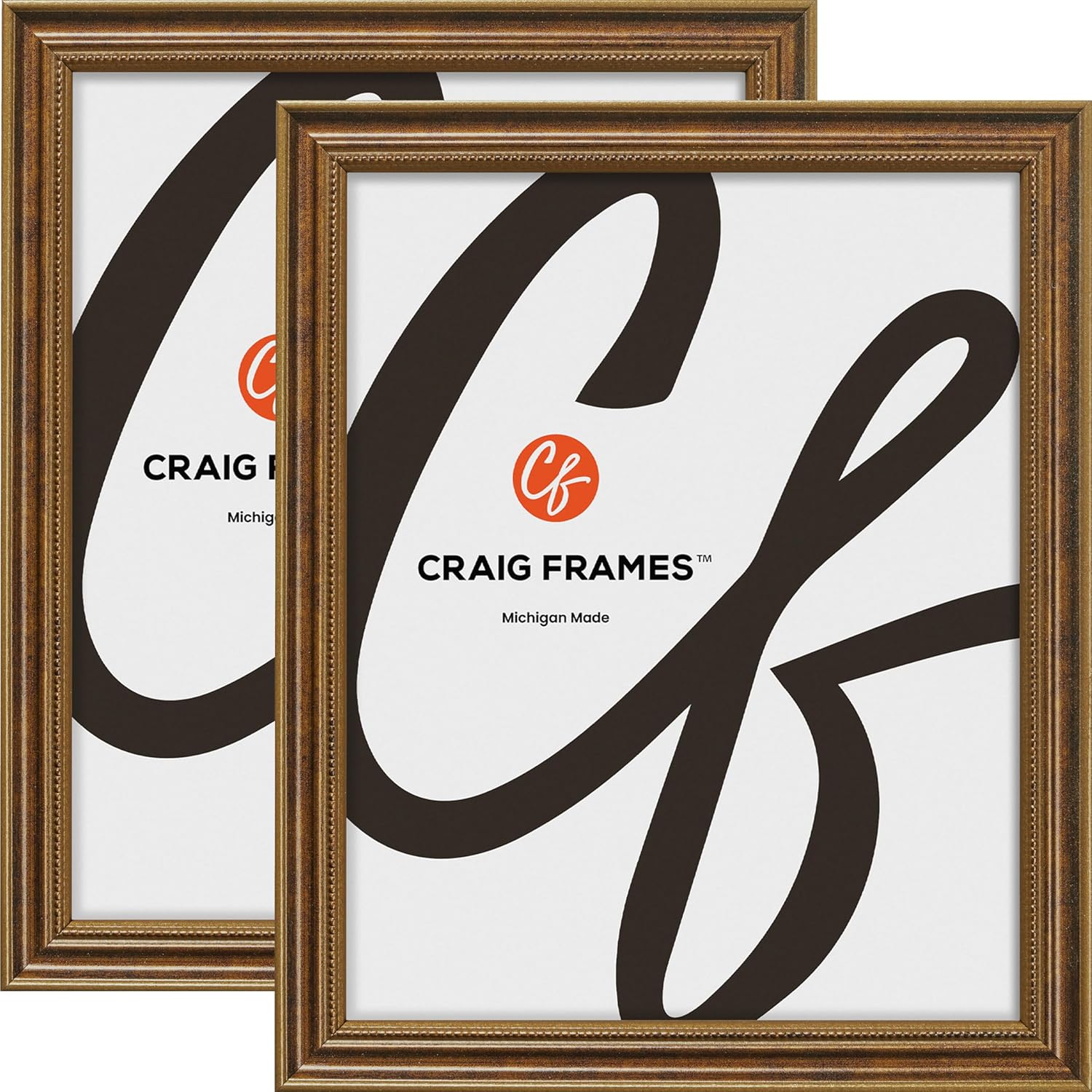 Craig Frames Stratton, 18x24 Bronze Picture Frame, Thin Ornate Wood, Dual Display Format, Set of 2