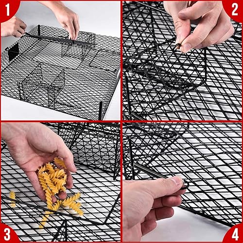 Miniatura 4 de Jaula de suqirrel (sin bandeja inferior) - para ardillas y ardillas, construcción de metal, 1 trampa