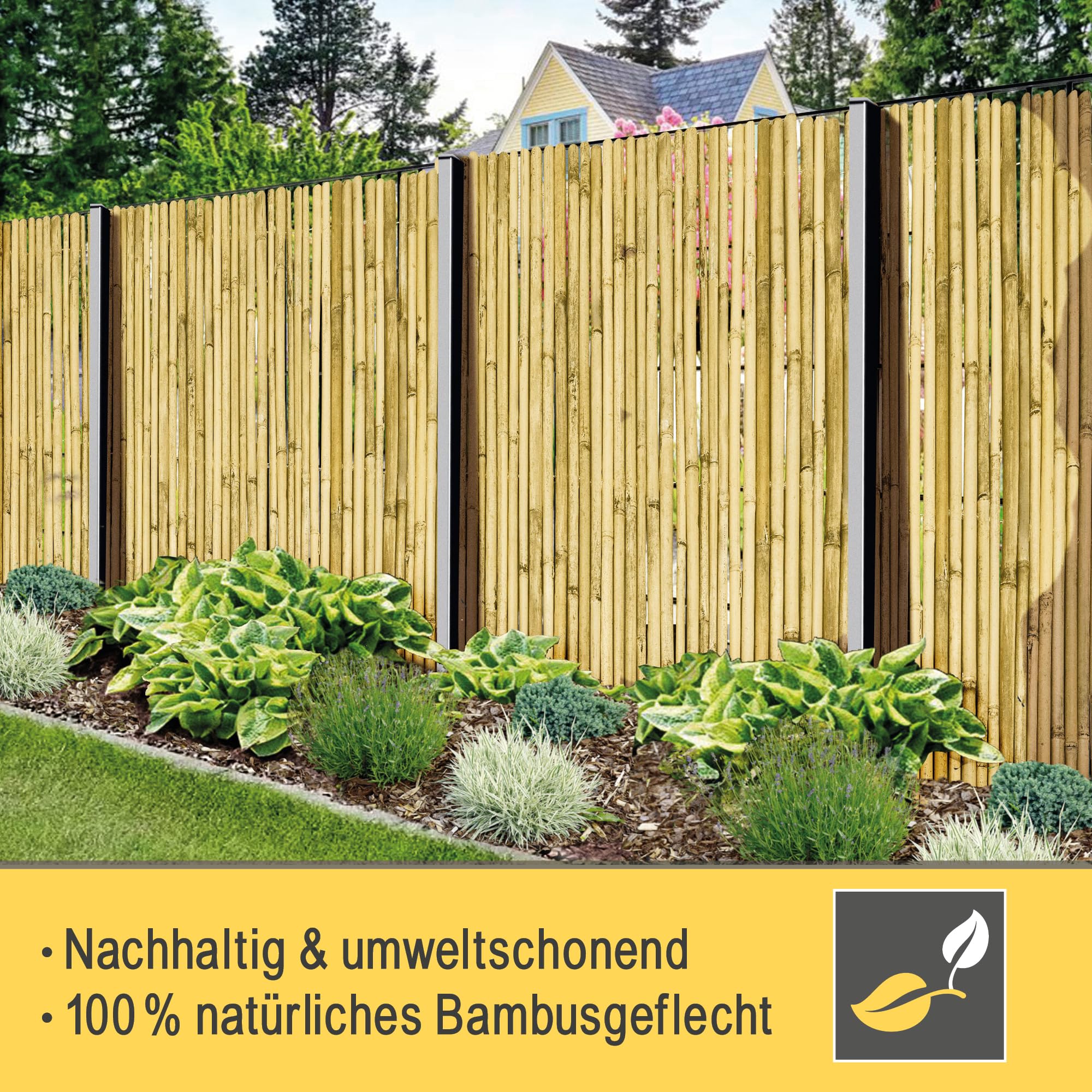 Sol Royal Hell Glänzend Premium Bambus Sichtschutz 160 hoch – Hochwertig Bambusrohre Ø2-3cm Witterungsbeständig – Bambuszaun Gartensichtschutz Balkon Sichtschutz Bambus Sichtschutzzaun 160x250cm – B99