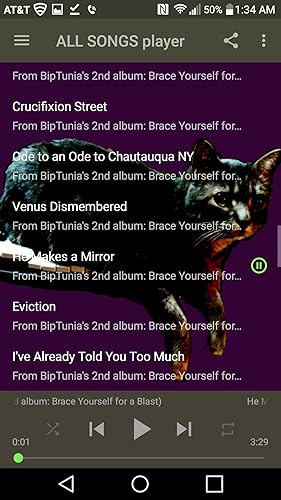 BipTunia Synth Music Player