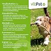 JointVit - Joint Tablets Dog - with Green-Lipped Mussel Dog Devil's Claw MSM Turmeric and Collagen - 100 Joint Tablets for Dogs - Premium Ingredients - Made in Germany