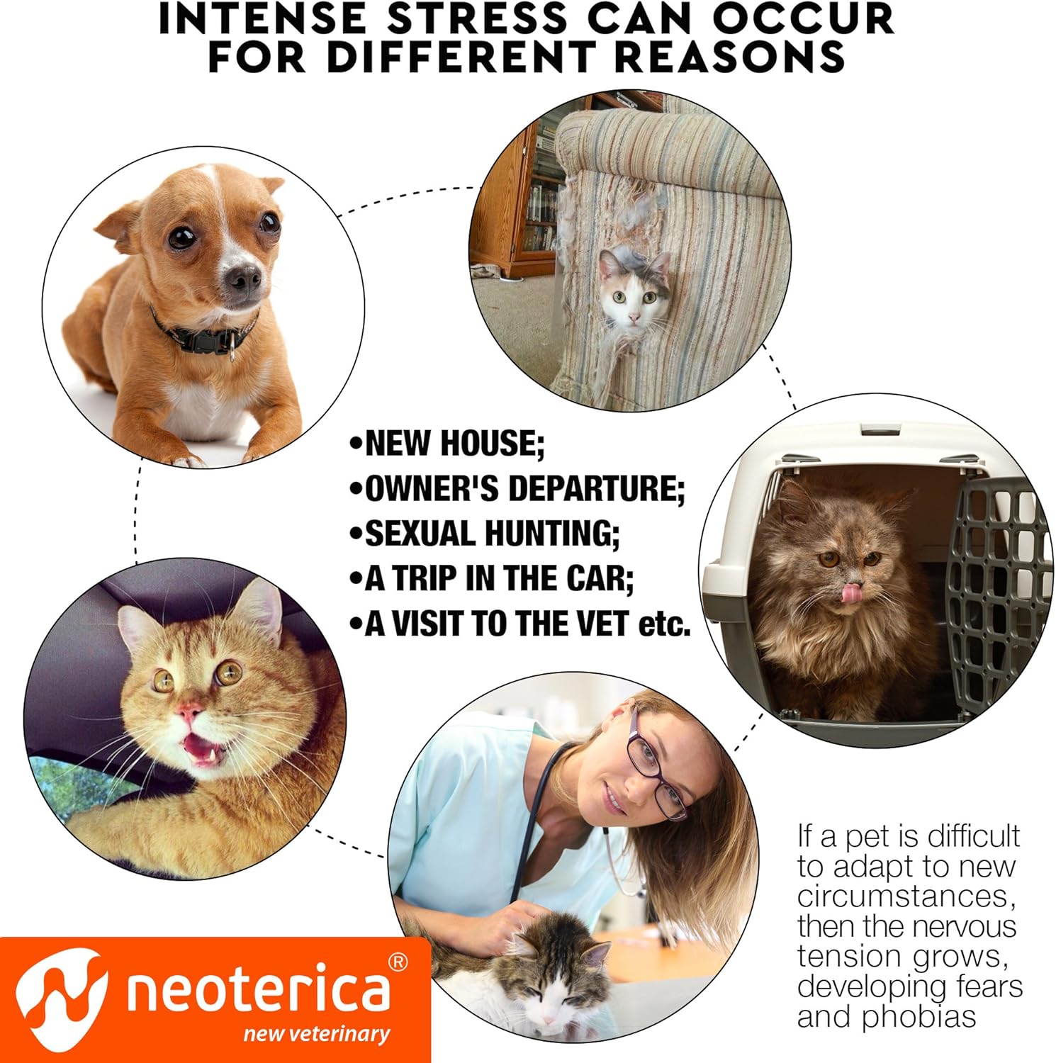 Relaxivet Natural Calming Spray for Cats and Dogs Long-Lasting