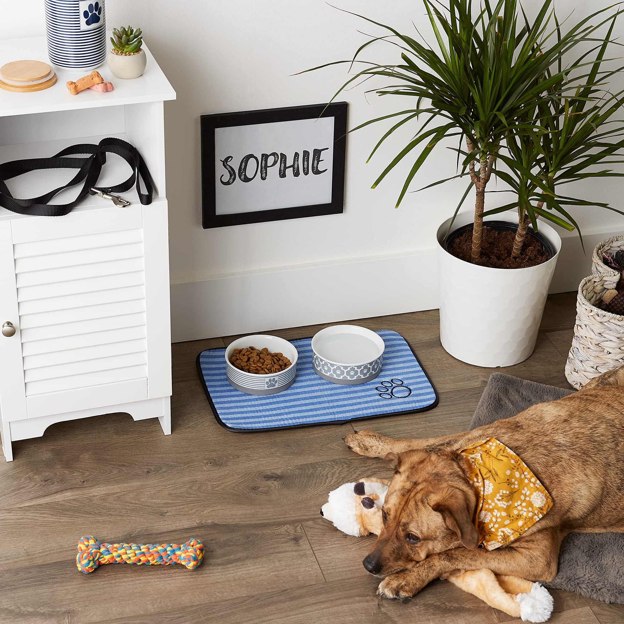 Bone Dry DII Pet Fußmatte für Futter, Wasser, Leckerlis in Mikrofaser für maximale Saugkraft