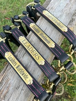 Leaders Leather Halter for Horses with Customized Engraved Name Plate Option Halter for Horse, Leather Halter Black Leather