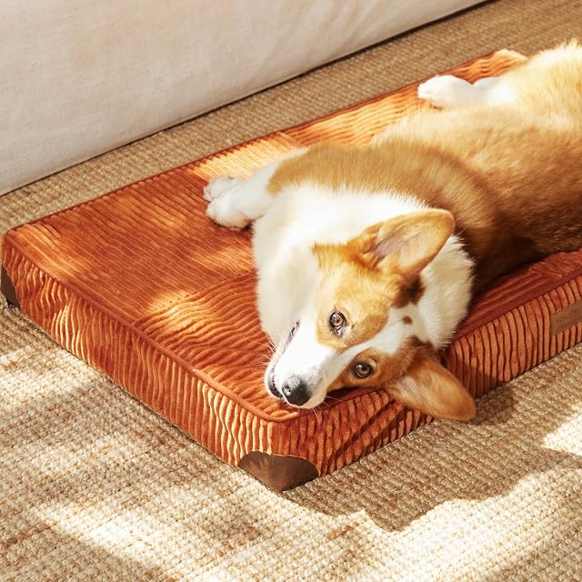 Foto 8 de 8 de FUKUMARU Cama para Perros Grande Ortopédica, 91x56x9cm, Colchón Lavable para Perro, Sofá Perro Desmontable