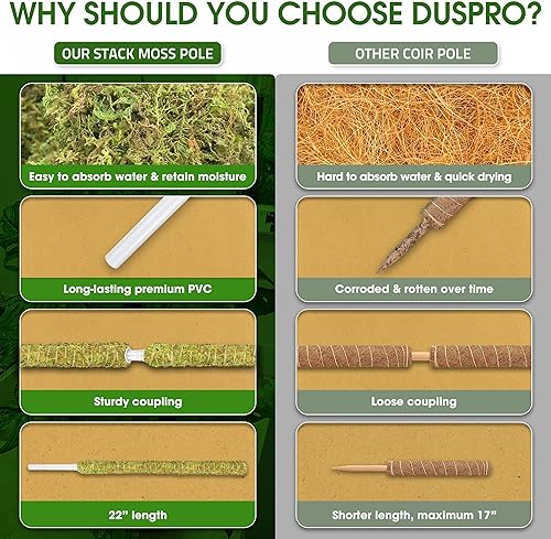 Miniatura 42 de DUSPRO - Paquete de 2 postes de musgo de malla plana para plantas trepadoras de monstera, poste apilable para plantas, musgo real, para plantas