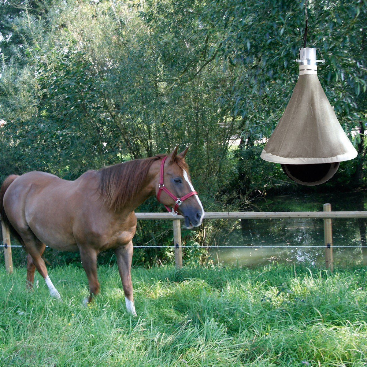 Kerbl Trampa para tábanos TaonX Eco, trampa para moscas e insectos, metal galvanizado, 220cm, 5 000m², para caballos, no tóxica, 2 años de garantía en las piezas metálicas, éxito de ventas