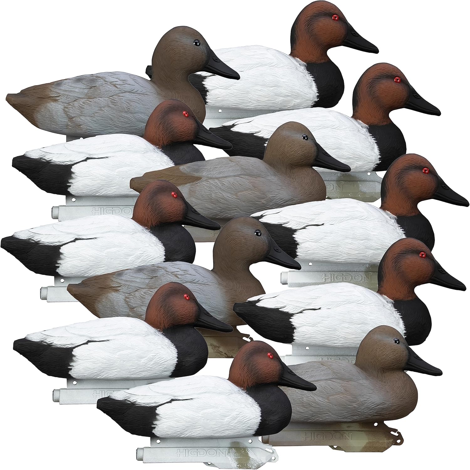 Higdon Outdoors | Standard Canvasback Duck Decoys, Foam-Filled