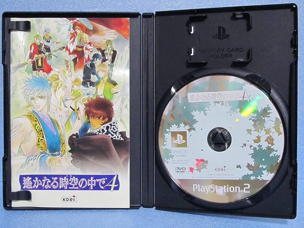 91t3Bn9ipaL._AC_UF1000,