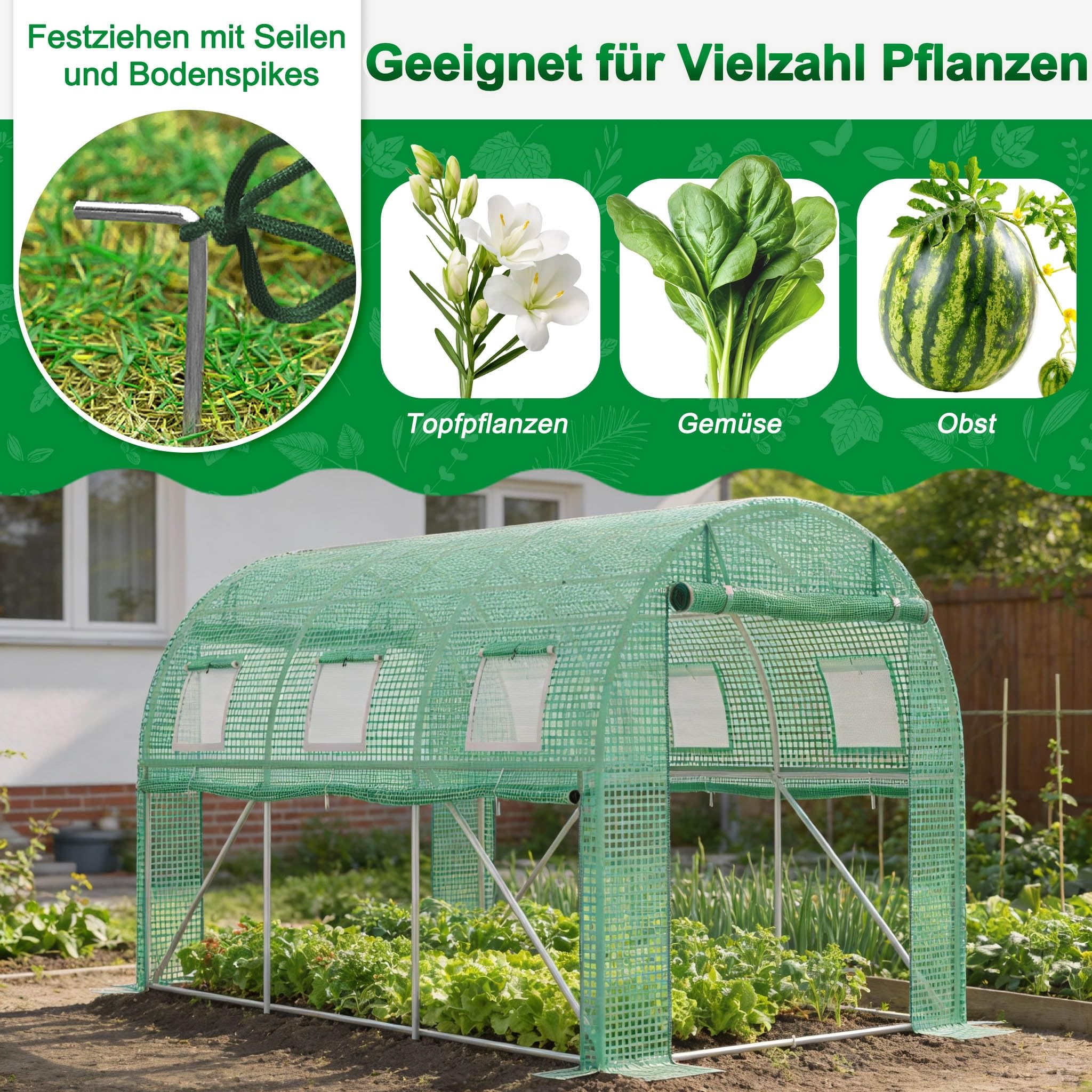 Aufun Gewächshaus 200x300x200 cm Foliengewächshaus Winterfest, Tomatenhaus mit 6 Fenstern & Tür, 140g/m² PE-Folie, Folientunnel mit verzinktem Stahlrahmen,Treibhaus für Garten, Balkon & Anzucht