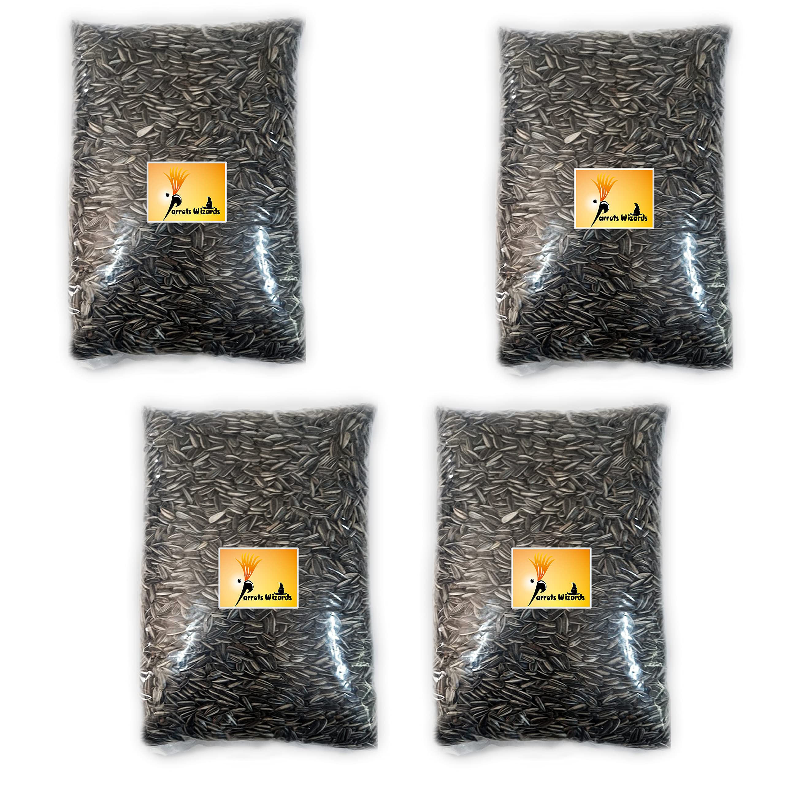 Peta Wizard Bird Food Small Size Strip Sunflower Seeds 3600 Grams, 1 Count (B09JCGDFTZ) Amazon Price History, Amazon Price Tracker