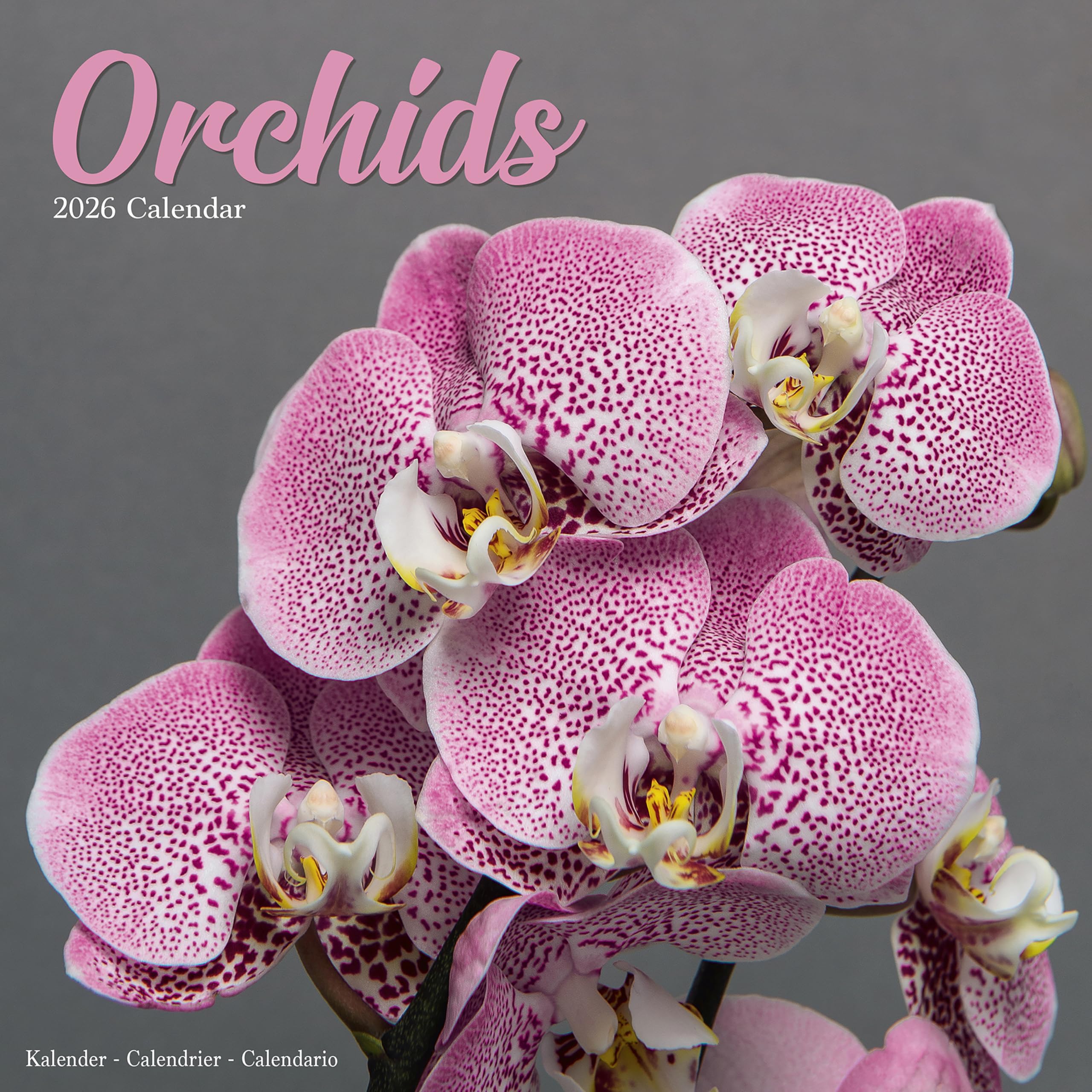 Orchids Calendar 2026, Wall Calendars, Month To View, Lifestyle, Gift
