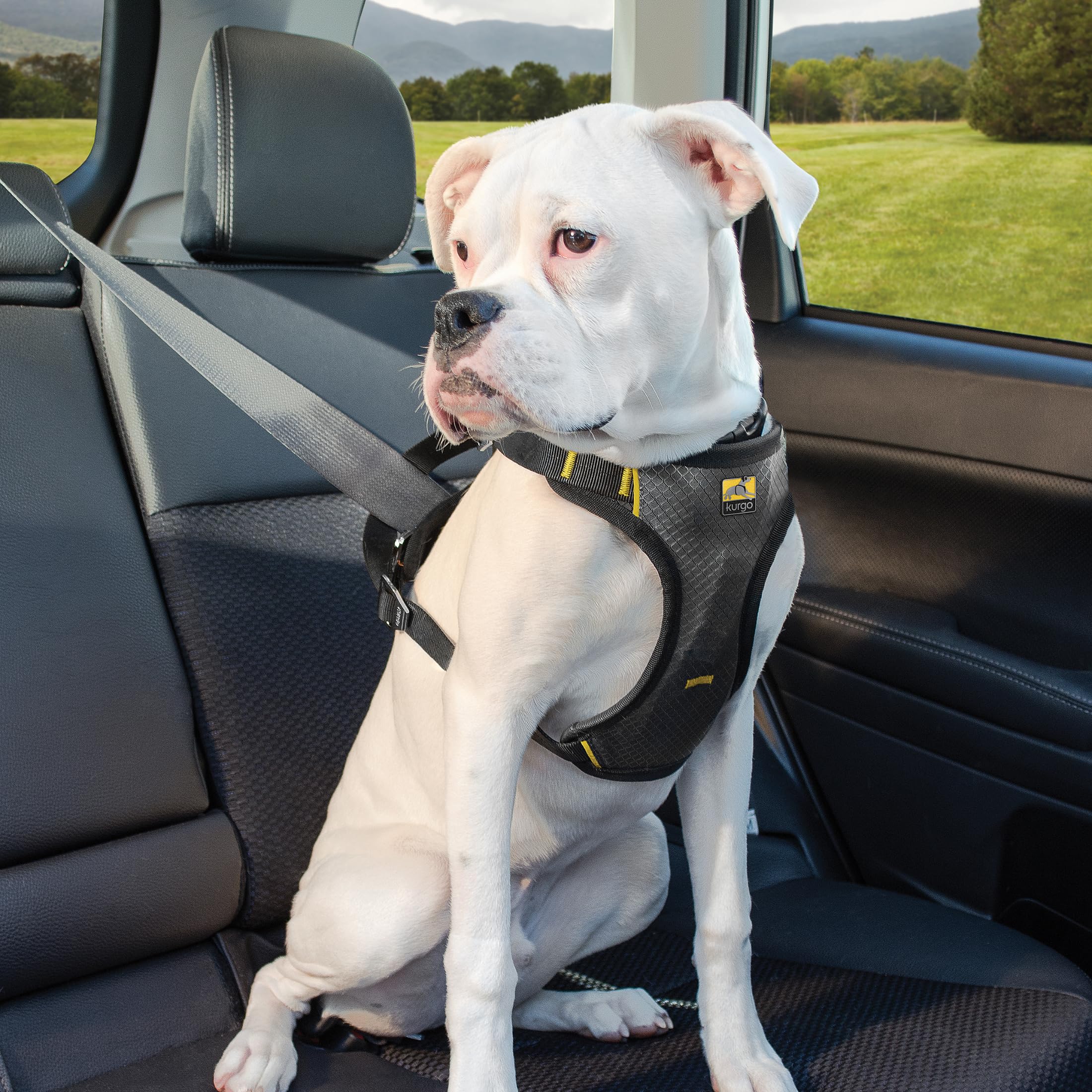 Kurgo Impact Dog Car Harness - Crash Tested Pet Harness - Premium Dog Car Safety - Padded Chest Support - Tubular Webbing Construction - High Strength Steel Buckles - X-Large - image 6
