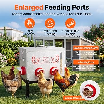 40 LB Large Automatic Chicken Feeder with Visible Feed Window