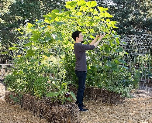 Miniatura 5 de El kit de iniciación de jardinería con balas de paja incluye libro de instrucciones de Karsten y BaleBuster 5 Organic SBG Preparation Mix formulado