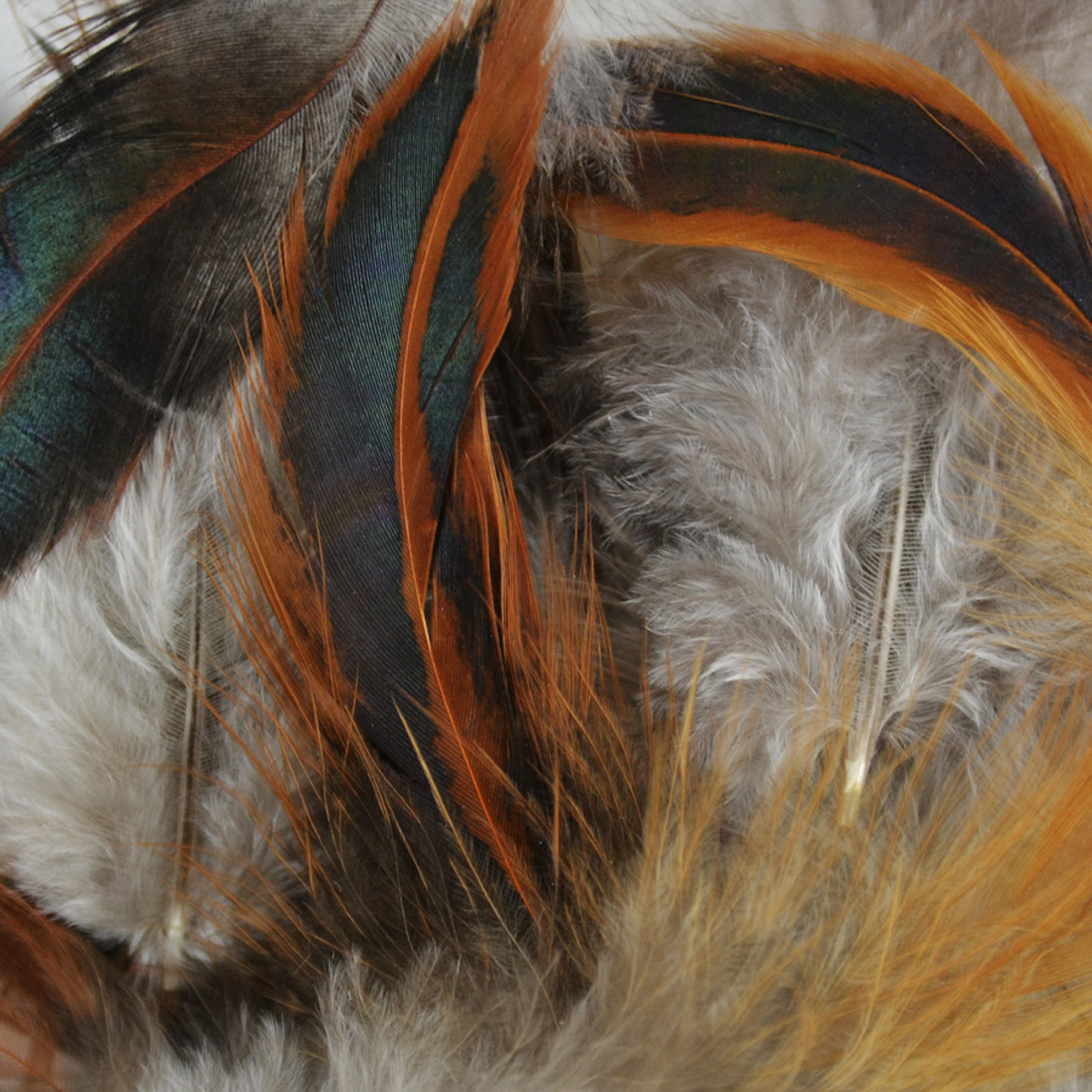 Plumes de Schlappen Bronze Touch of Nature pour réparer un déguisement ou accessoire