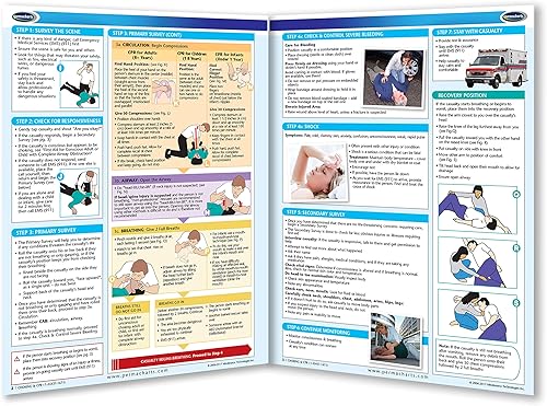 Miniatura 2 de Permacharts - Gráfico de asfixia y RCP - -