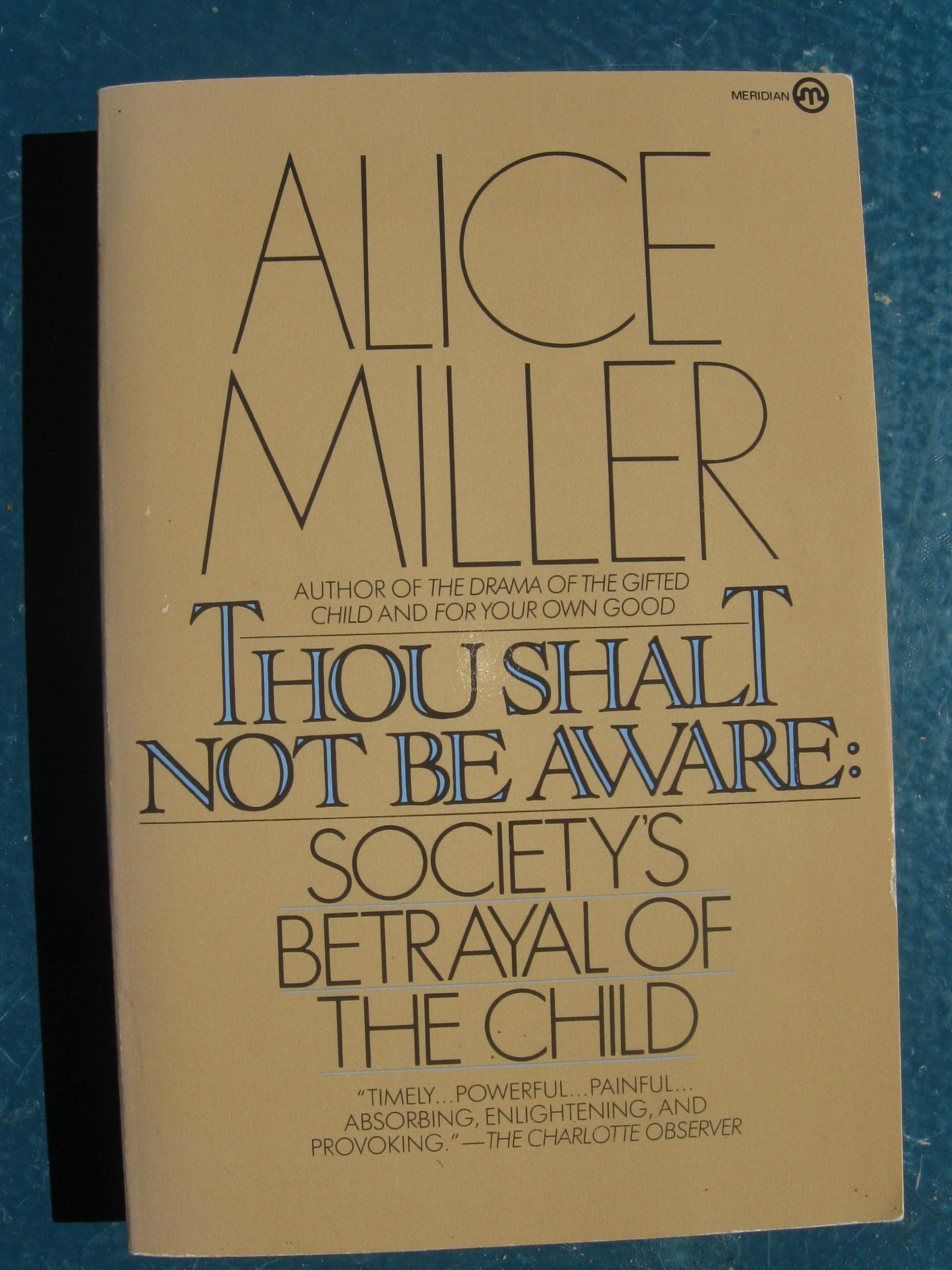 Buy Thou Shalt Not Be Aware: Society's Betrayal of the Child — BookShops.in