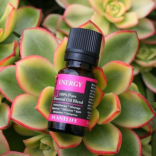 Miniatura 67 de Plantlife Grounded Aromatherapy Essential Oil Blend - Straight from The Plant 100% Pure Therapeutic Grade - No Additives or Fillers - Made in