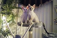 Review Image by margaret moore margaret moore