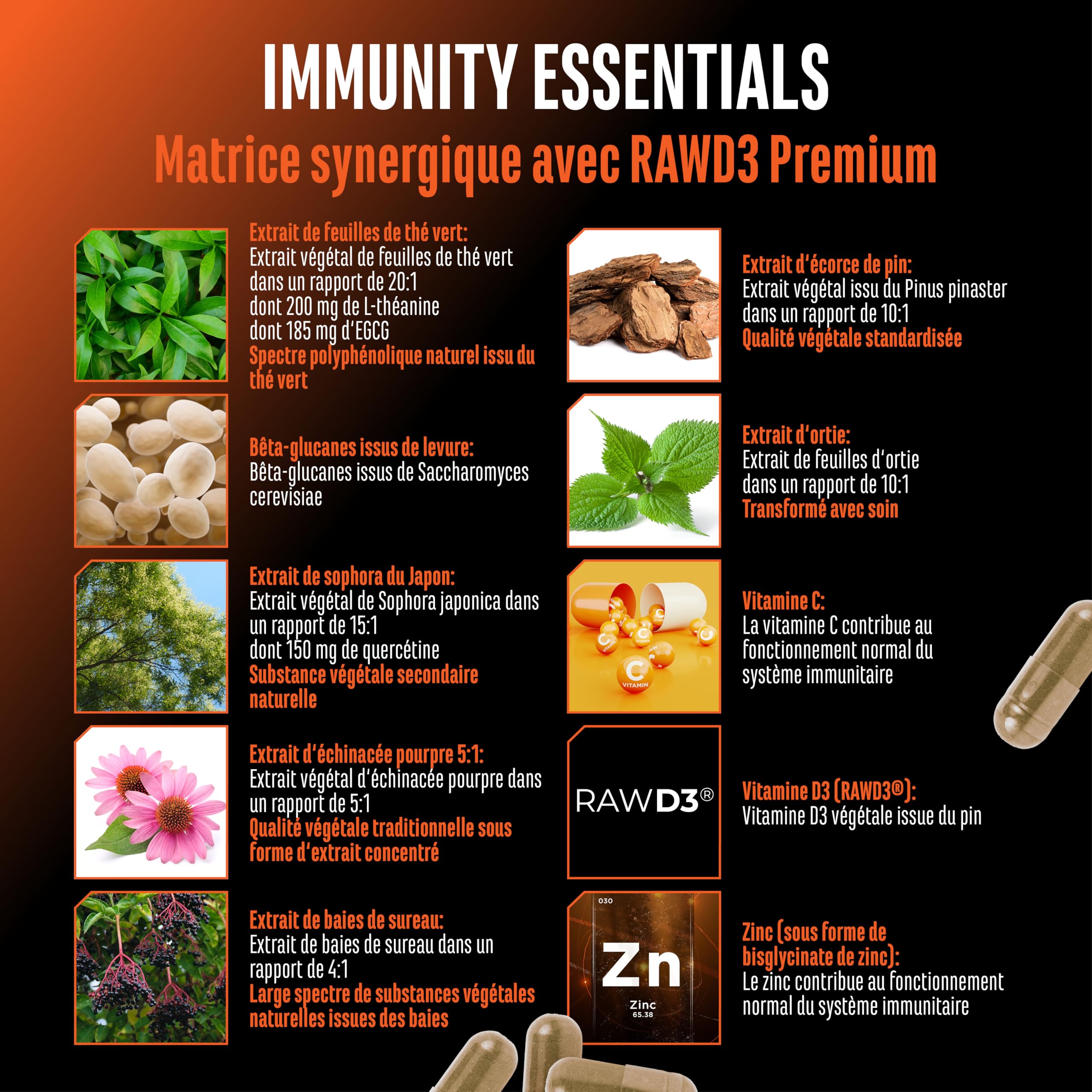 Immunity Essentials Complexe – 180 gélules avec bêta-glucane, vitamine C, D3 (RAWD3®), zinc, quercétine, échinacée, sureau et extraits végétaux – hautement dosé, végan