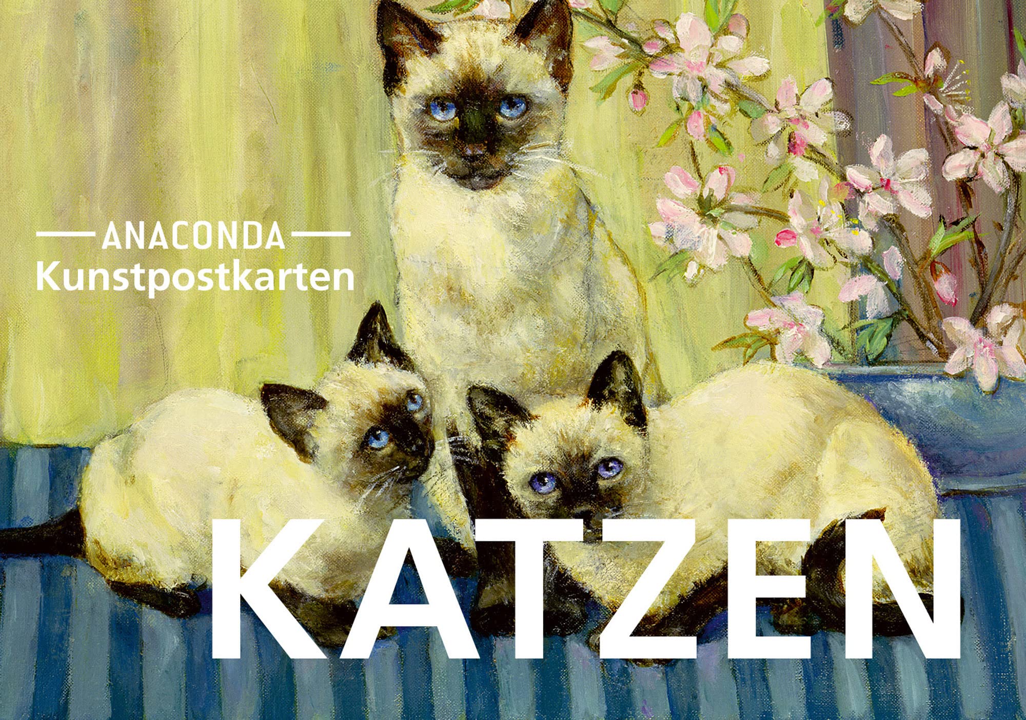 Anaconda Verlag Postkarten-Set Katzen: 18 Kunstpostkarten Aus Hochwertigem Karton. Ca. 0,28€ Pro Karte (Anaconda Postkarten, Band 38)