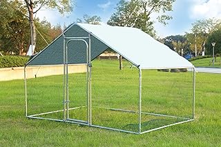 Amazonfr Enclos Poule Plus De 200 Eur Animalerie