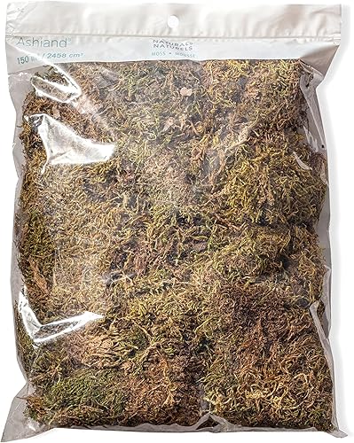 Miniatura 4 de MICHAELS Paquete de 12 a granel musgo decorativo por Ashland