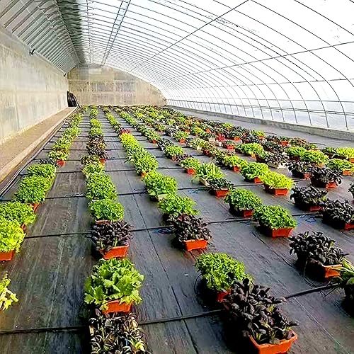 Miniatura 6 de Tela de barrera de malezas prémium de 3 pies x 100 pies, cubierta de suelo resistente de 4.41 ozm para jardines al aire libre, tela bloqueadora de