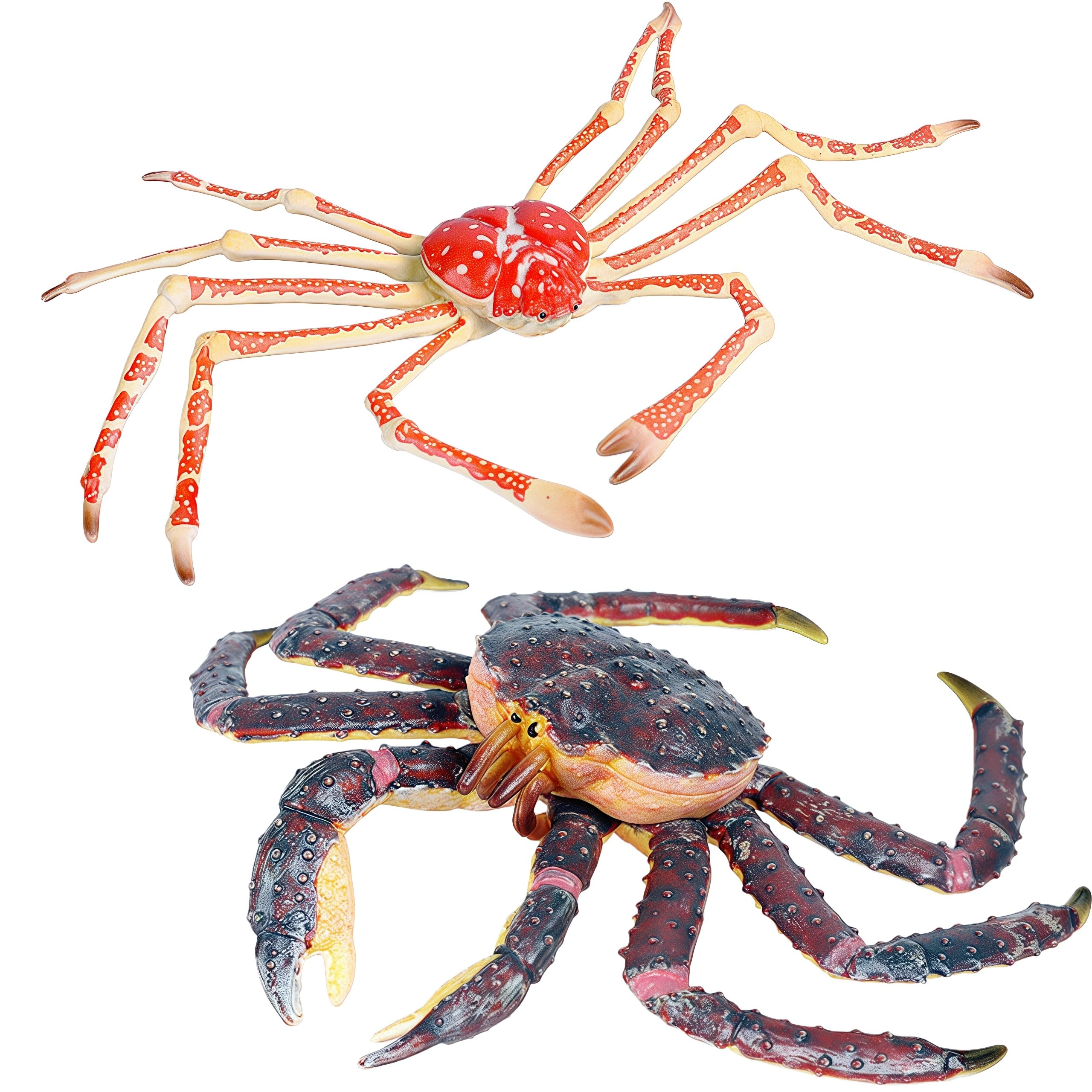 Amazon.com: Gemini&Genius King Crab and Spider Crab Toy Set Marine