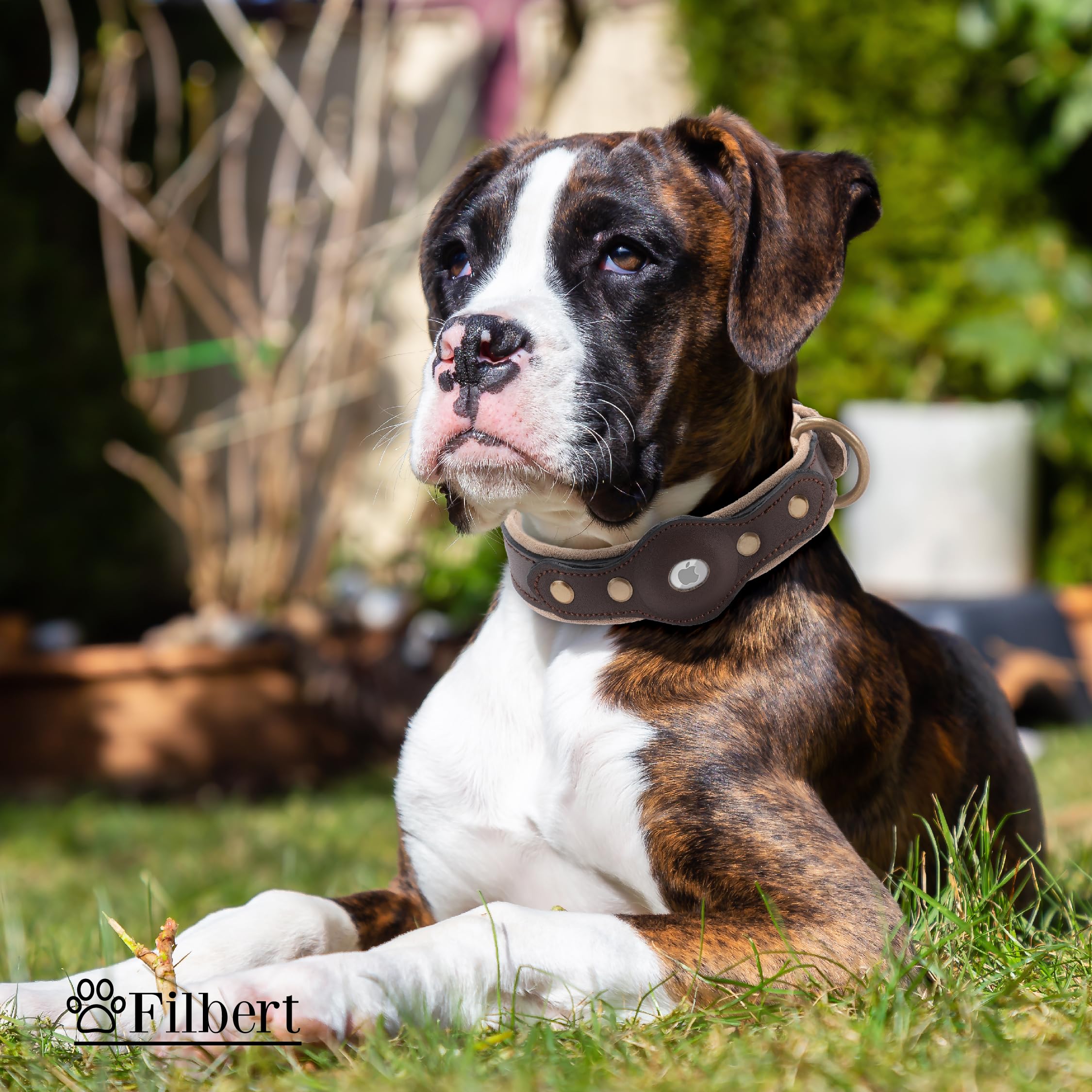 Filbert Collar de perro con soporte para Airtag, collar de perro Airtag, collar de cuero para perro Airtag, collares de cuero para perros grandes compatibles con Apple Air Tag, collar Airtag 5