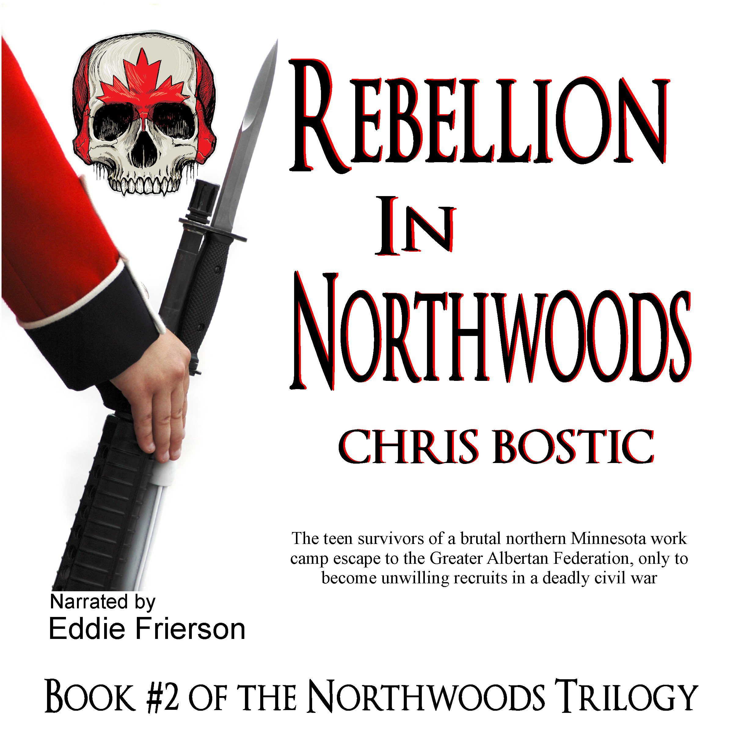 Cover art for Rebellion in Northwoods