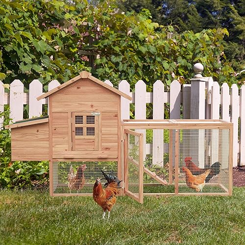 Morngardo Gallinero para 2-4 pollos de madera para aves de corral al al aire libre jaula de conejo con rampa caja de anidación bandeja barra de