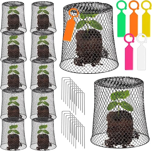 10 cubiertas de alambre de pollo de 8 pulgadas, cubiertas de alambre para jardín, alambre de pollo, protector de plantas Cloche de metal resistente