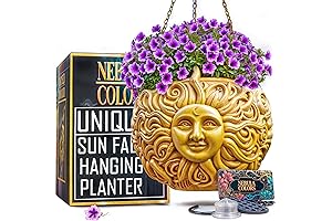 Sun Face Hanging Planter: Illuminating Your Garden with Celestial Charm