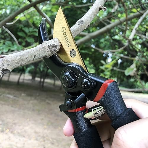 Miniatura 4 de gonicc Tijeras de podar de yunque de trinquete profesionales de 8 pulgadas (GPPS-1011) y tijeras de podar de derivación de titanio premium