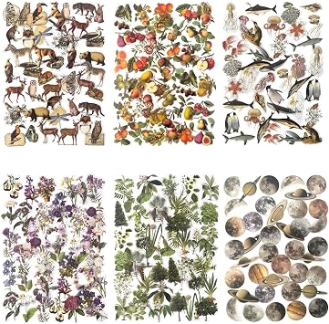 240PCS Waterproof Flowers Leaves Animals Plants Nature Stickers | 6 Series Nature Theme Stickers Set for Art Journaling Planners Scrapbook DIY Crafts Decoration