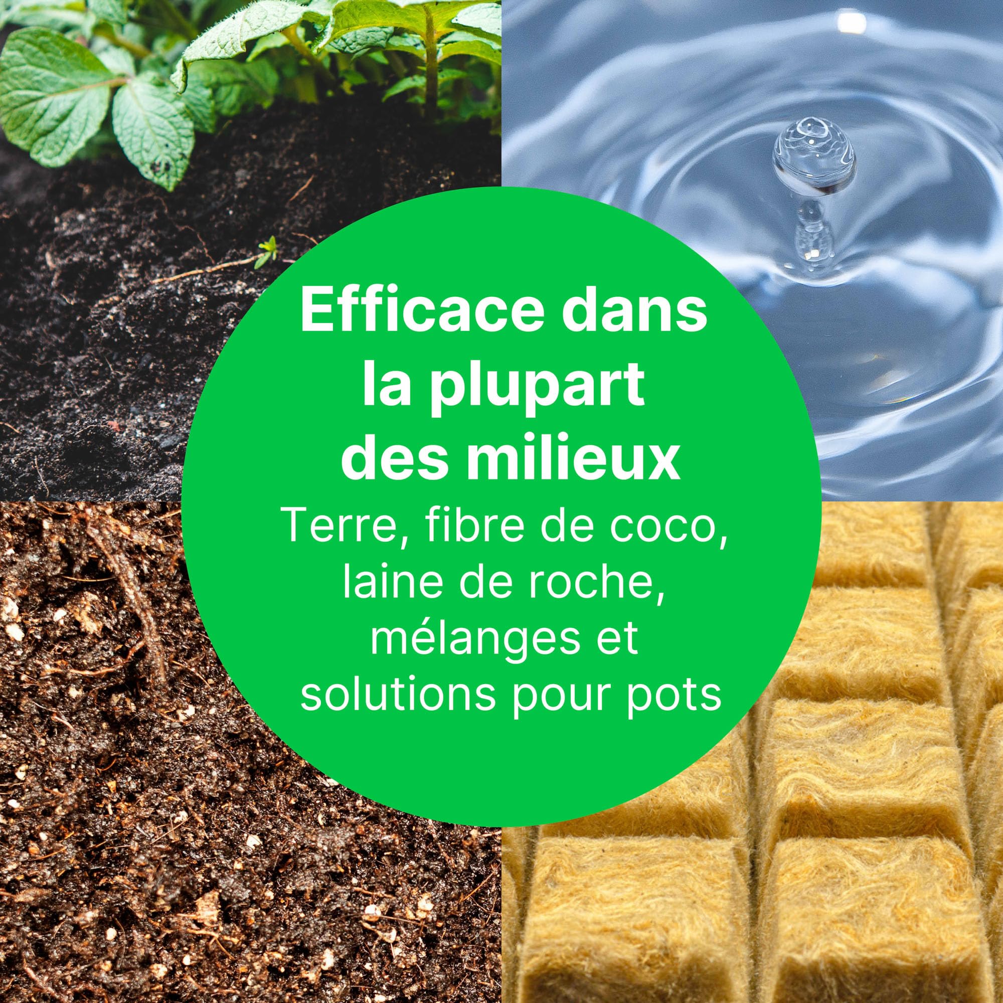 Bluelab PENSOILPH Soil pH Pen - Stylo pH, pH mètre et température - pour sol, fibre de coco, laine de roche et solutions nutritives, calibrage facile - pH-mètre, mesure de l'acidité