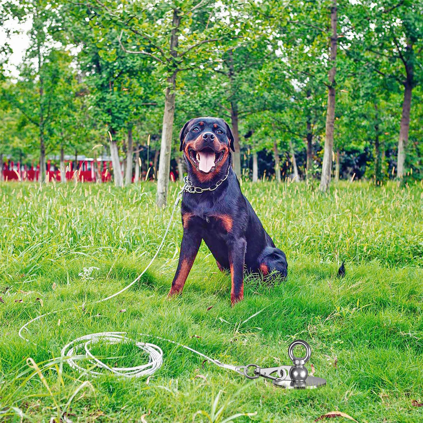 Estaca de amarre para perros de 15 pulgadas, anclaje resistente para perros de hasta 220 libras, sin enredos, fácil de instalar y quitar, ideal para patio, campamento y playa, 1 paquete