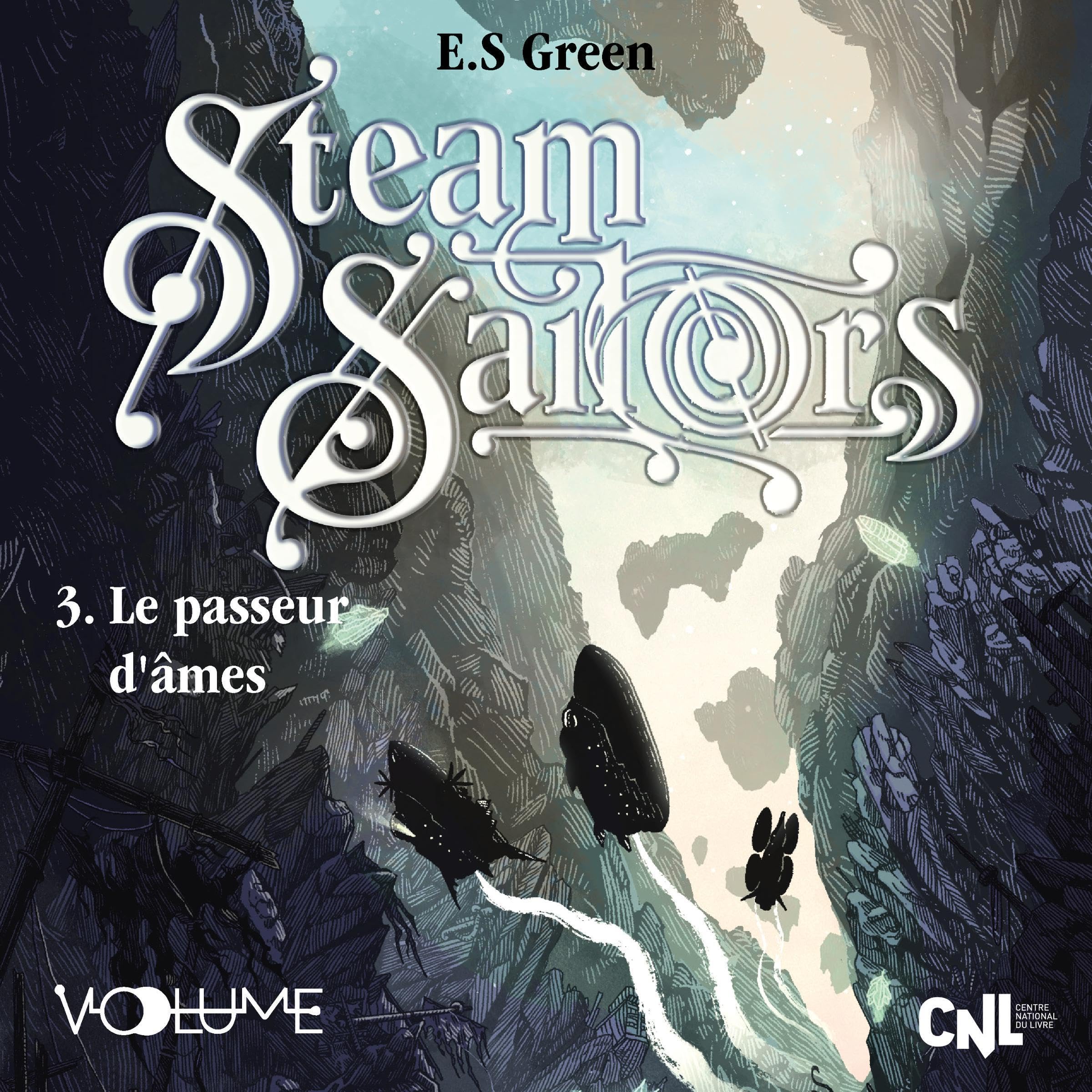 Cover art for Steam Sailors III