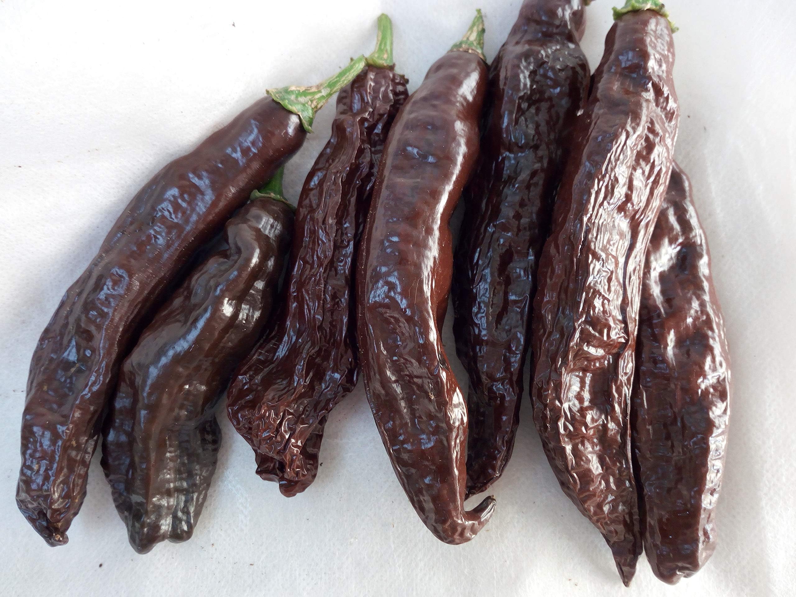 Seeds -AJI PANCA-