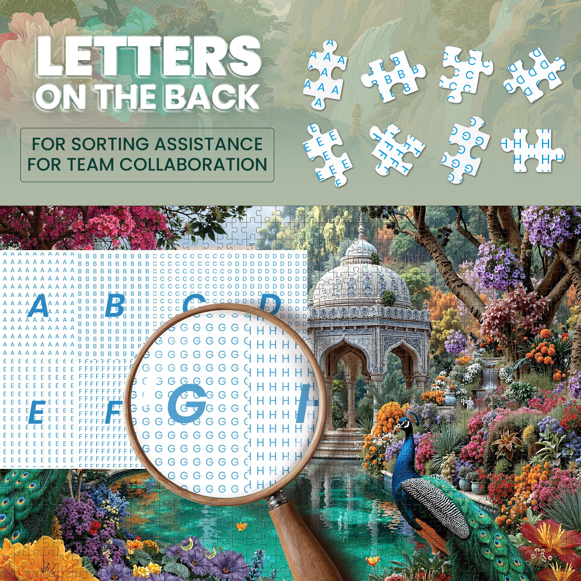 View 5