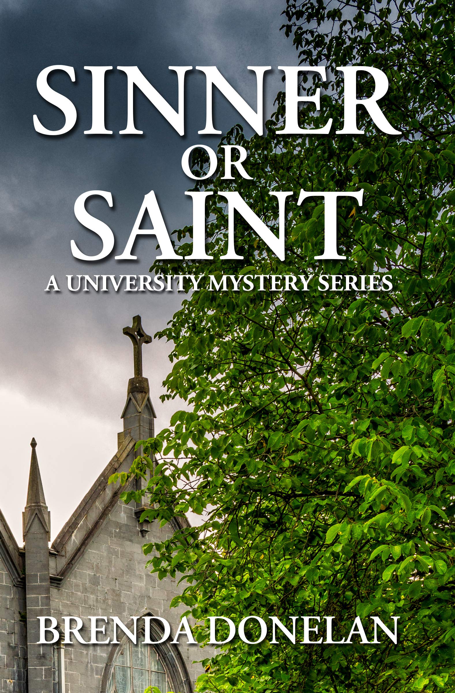Sinner Or Saint (University Mystery Series Book 7)
