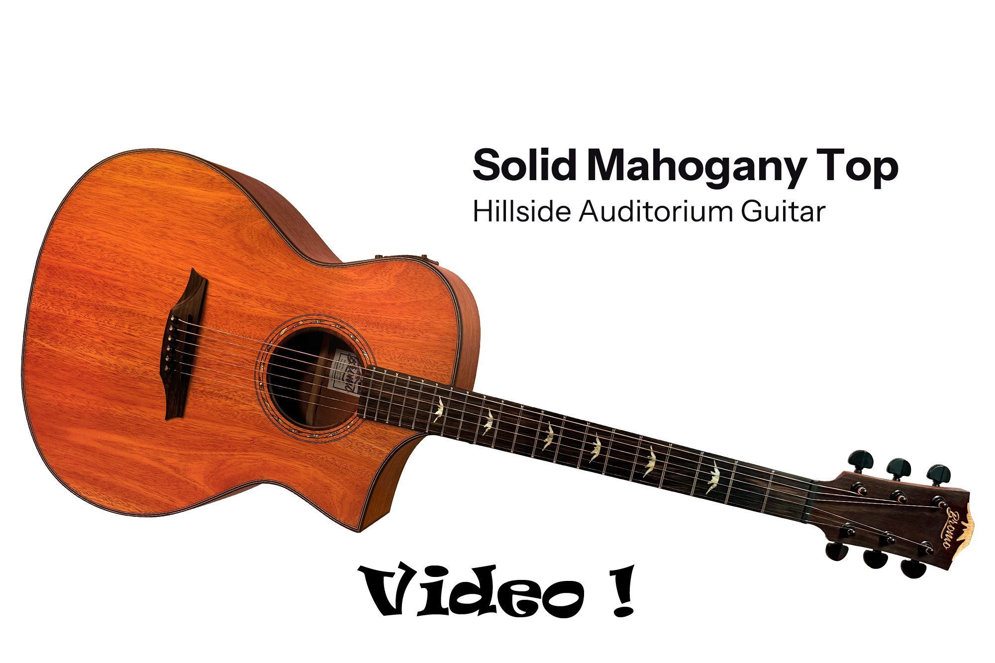Amazon.com: Bromo BAT 4MCE SG Solid Top Dreadnought Acoustic