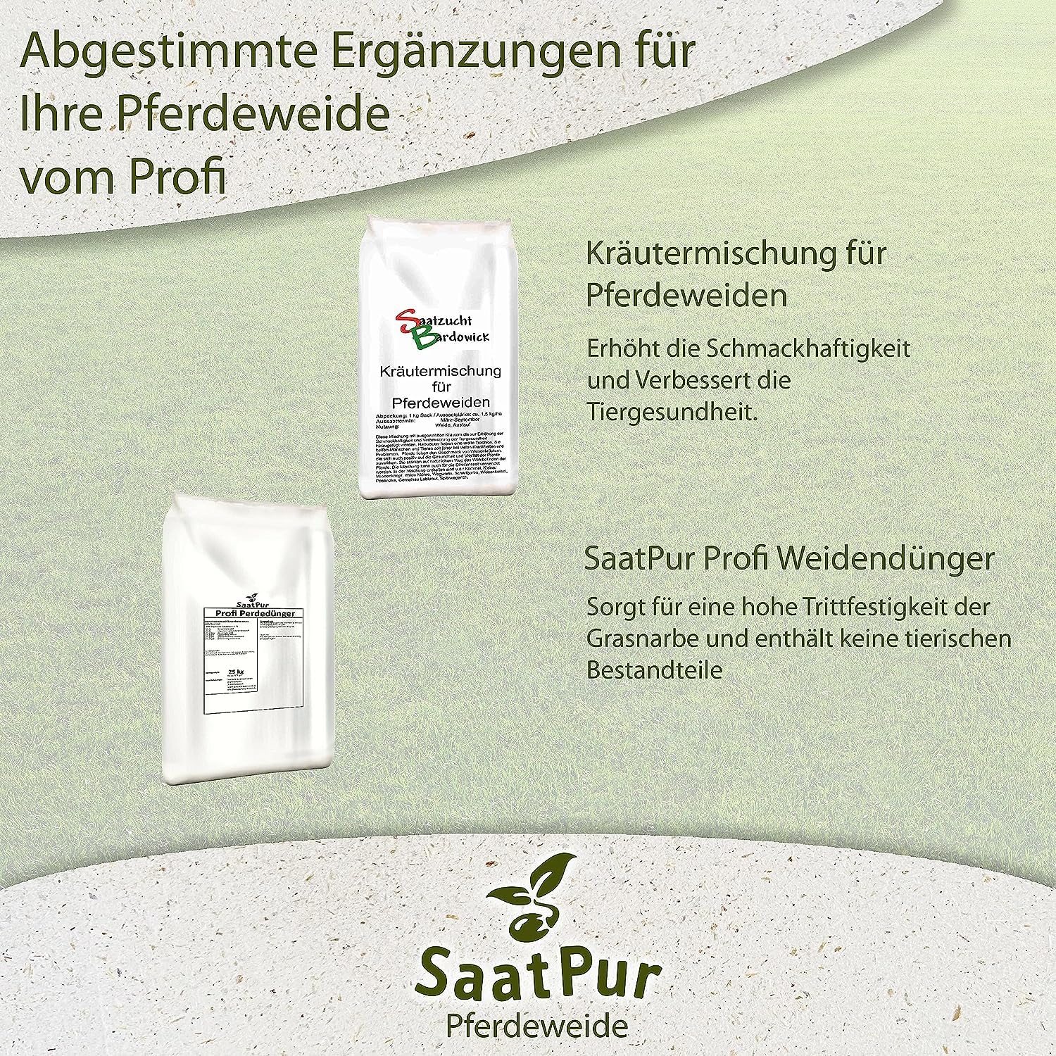 1 kg Kräutermischung für Pferdeweide mit Heilkräutern Pferdewiese Wiesenkräuter Kräutersaat Dauerweide Mähweide